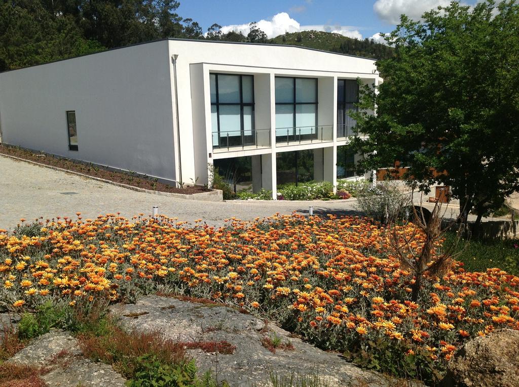 Hotel Douro Vale de Campos Penafiel Extérieur photo